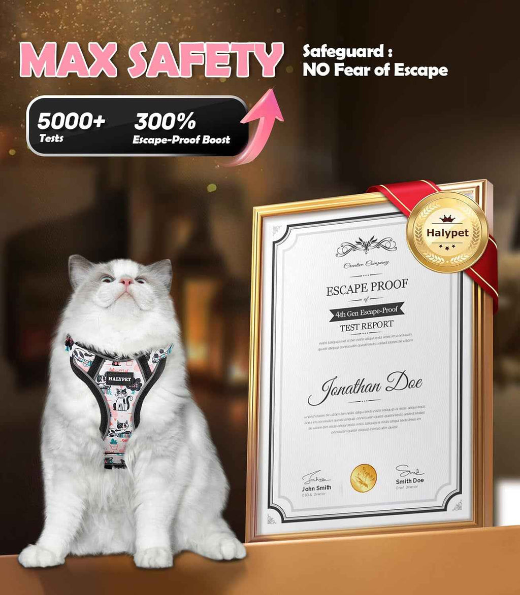Escape-Proof Cat Harness & Leash Set