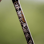 Rattlesnake Casting Rod  Limited Edition