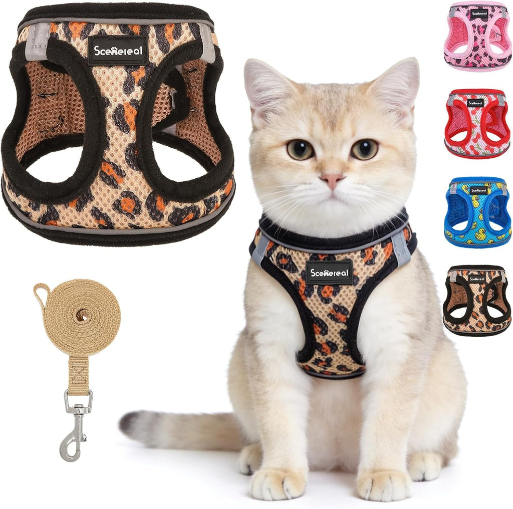 Cat Harness and Leash Set