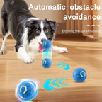 Electronic Interactive Pet Toy