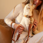 Tilley + Me Hemp Cotton Dog Collar