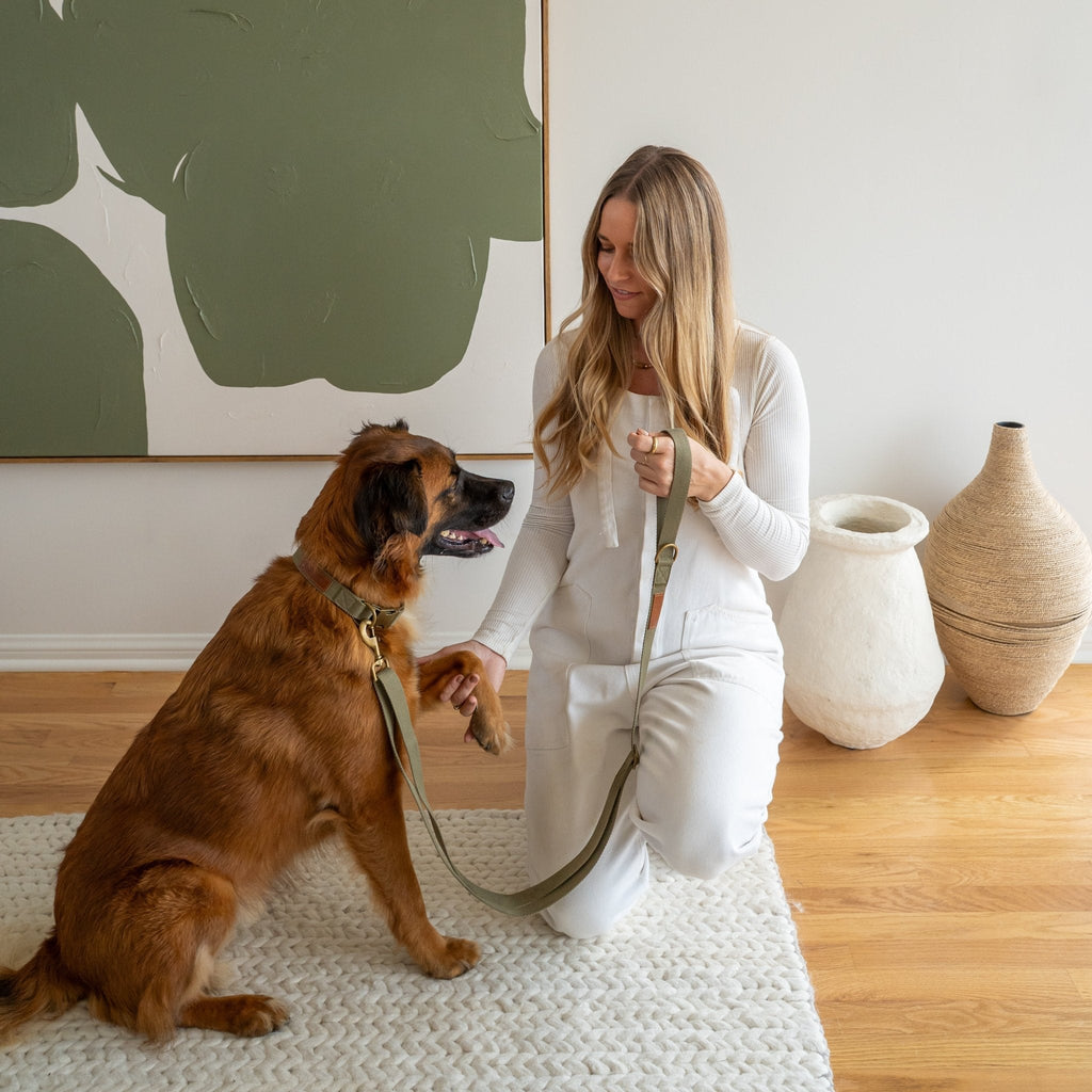 Tilley + Me Hemp Cotton Dog Collar