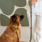 Tilley + Me Hemp Cotton Dog Collar