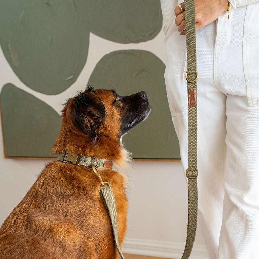 Tilley + Me Hemp Cotton Dog Collar
