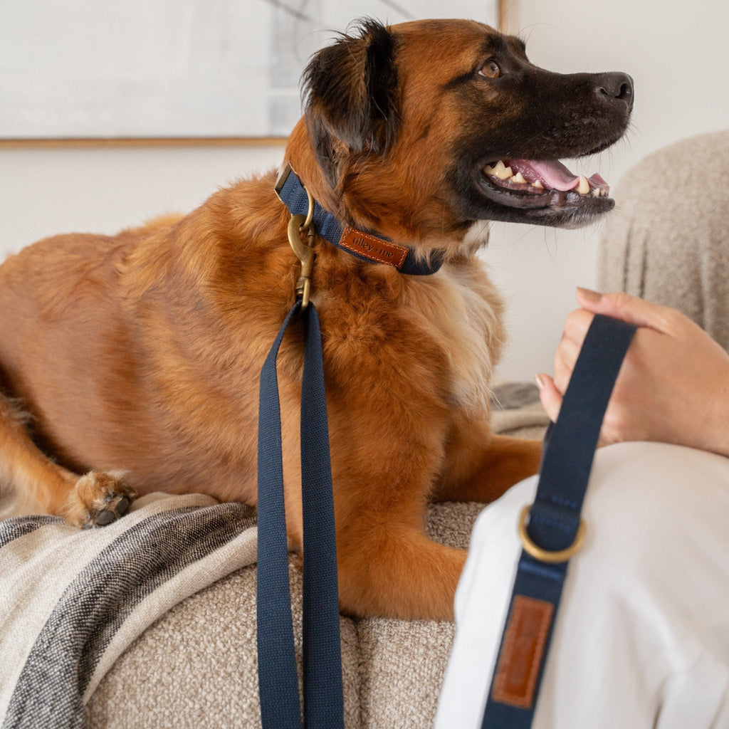 Tilley + Me Hemp Cotton Dog Collar