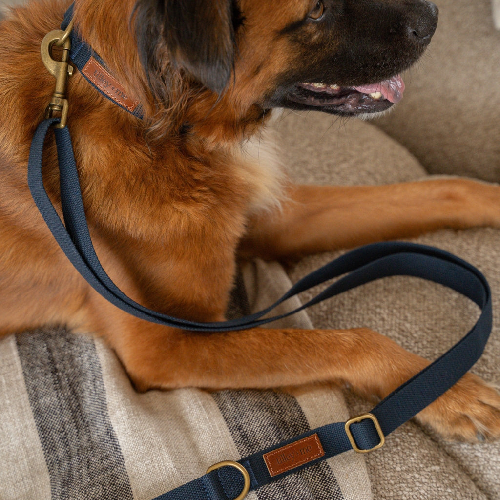 Tilley + Me Hemp Cotton Dog Collar