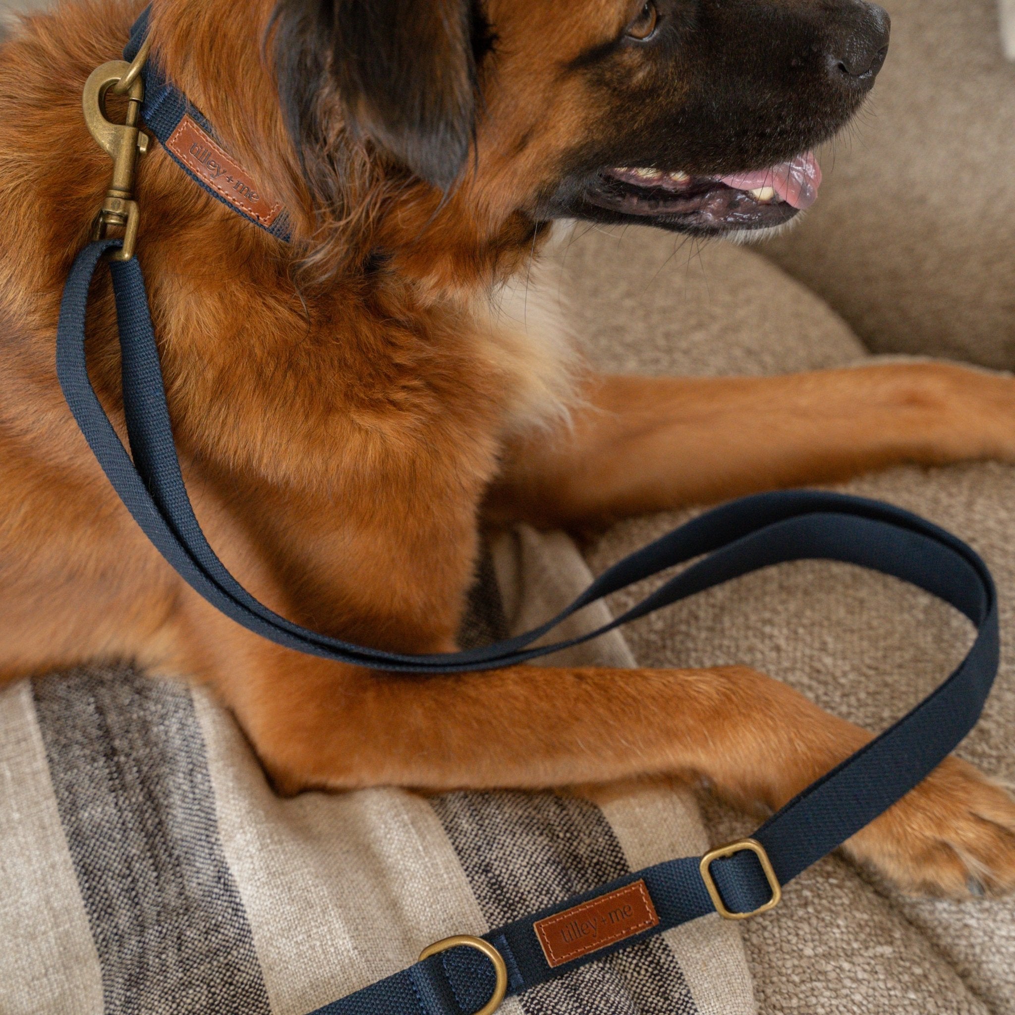 Tilley + Me Hemp Cotton Dog Collar