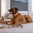 Tilley + Me Hemp Cotton Dog Collar