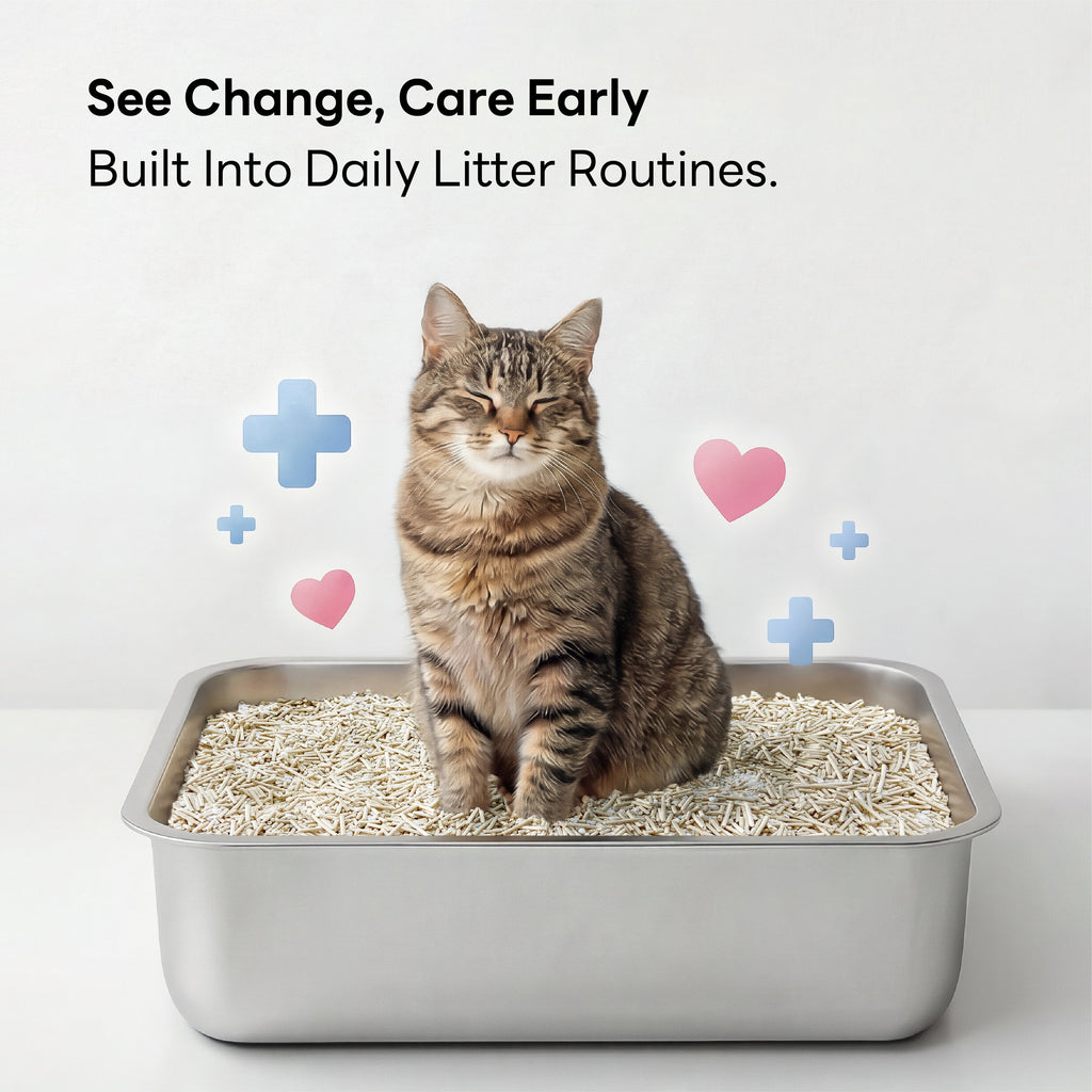 Cat Litter Color Changing Clumping Low Dust