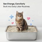 Cat Litter Color Changing Clumping Low Dust