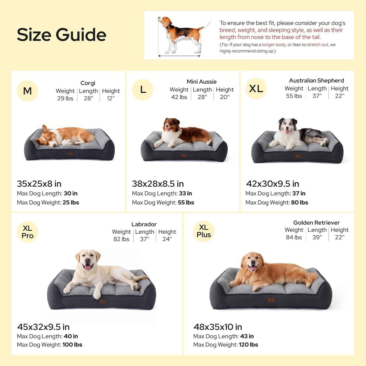 Orthopedic Dog Bed