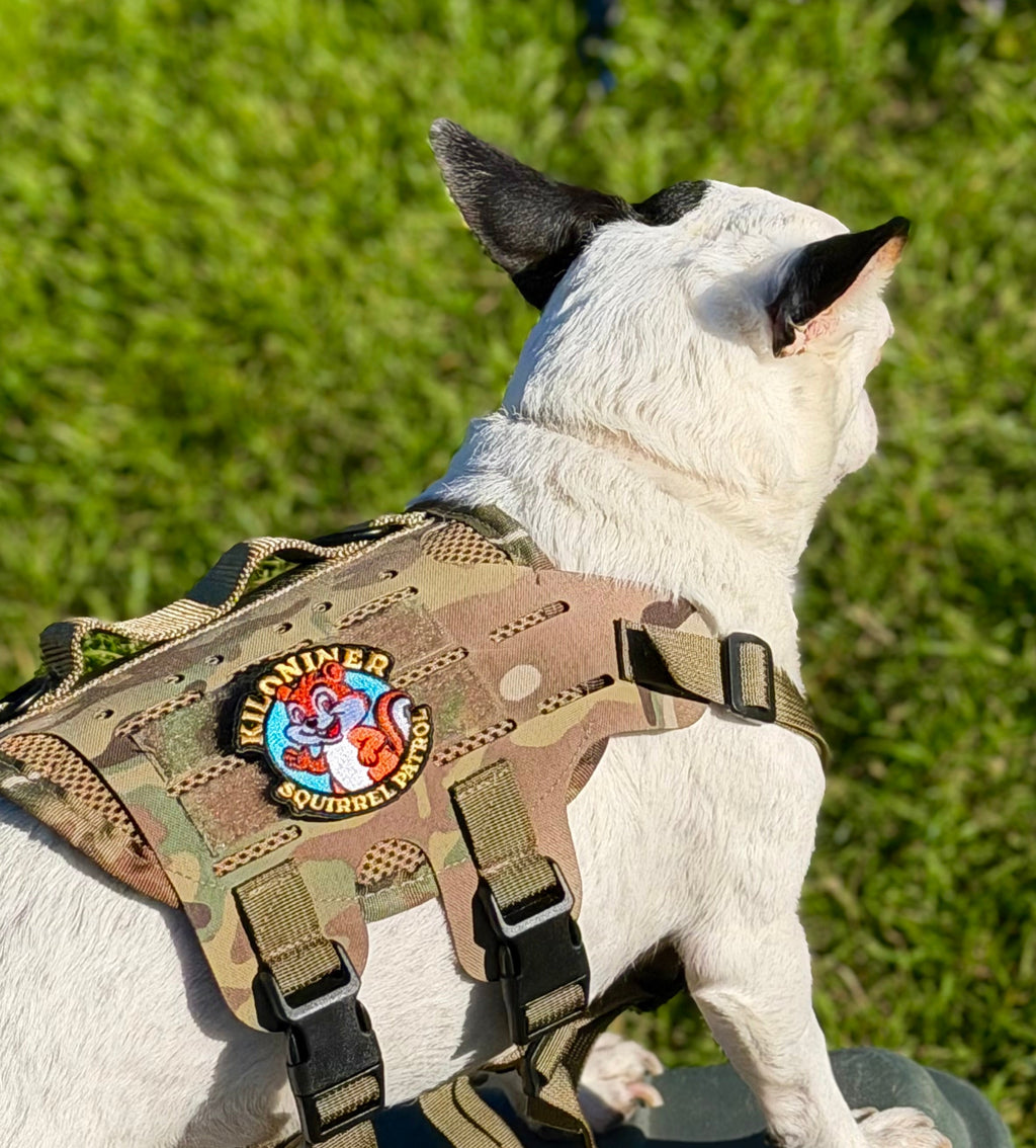 K9R - M4 Tactical MOLLE Vest