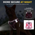 Cat Harness and Leash Set