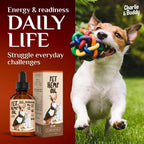 Hemp Oil for Dogs & Cats Hip & Joint & Skin Support