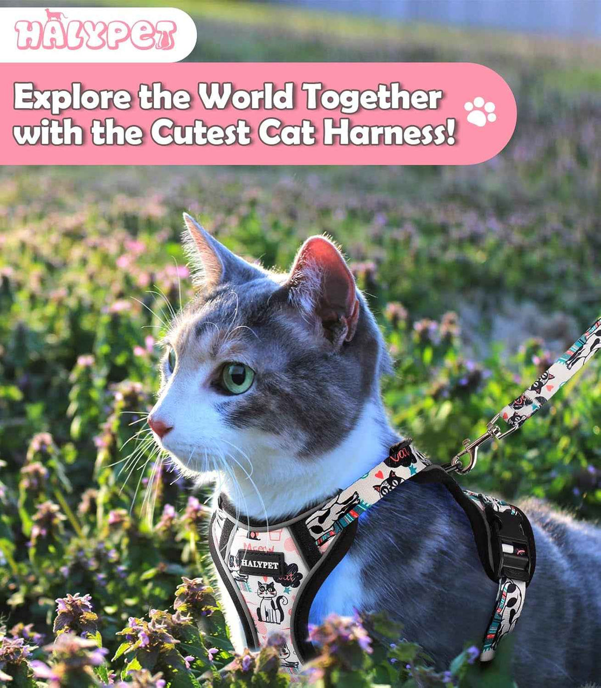 Escape-Proof Cat Harness & Leash Set
