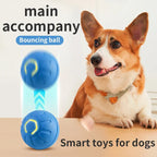 Electronic Interactive Pet Toy