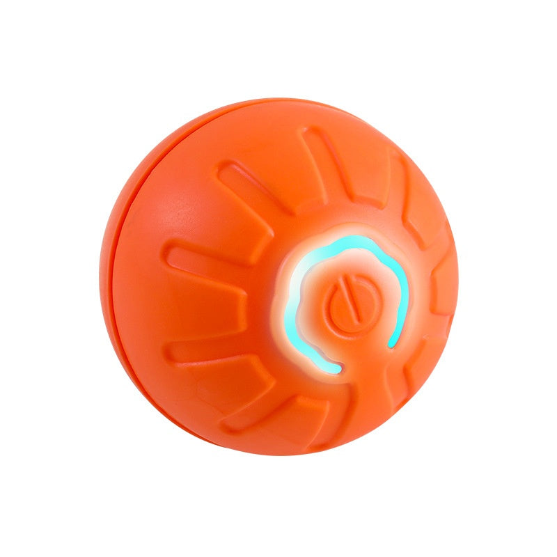 Electronic Interactive Pet Toy