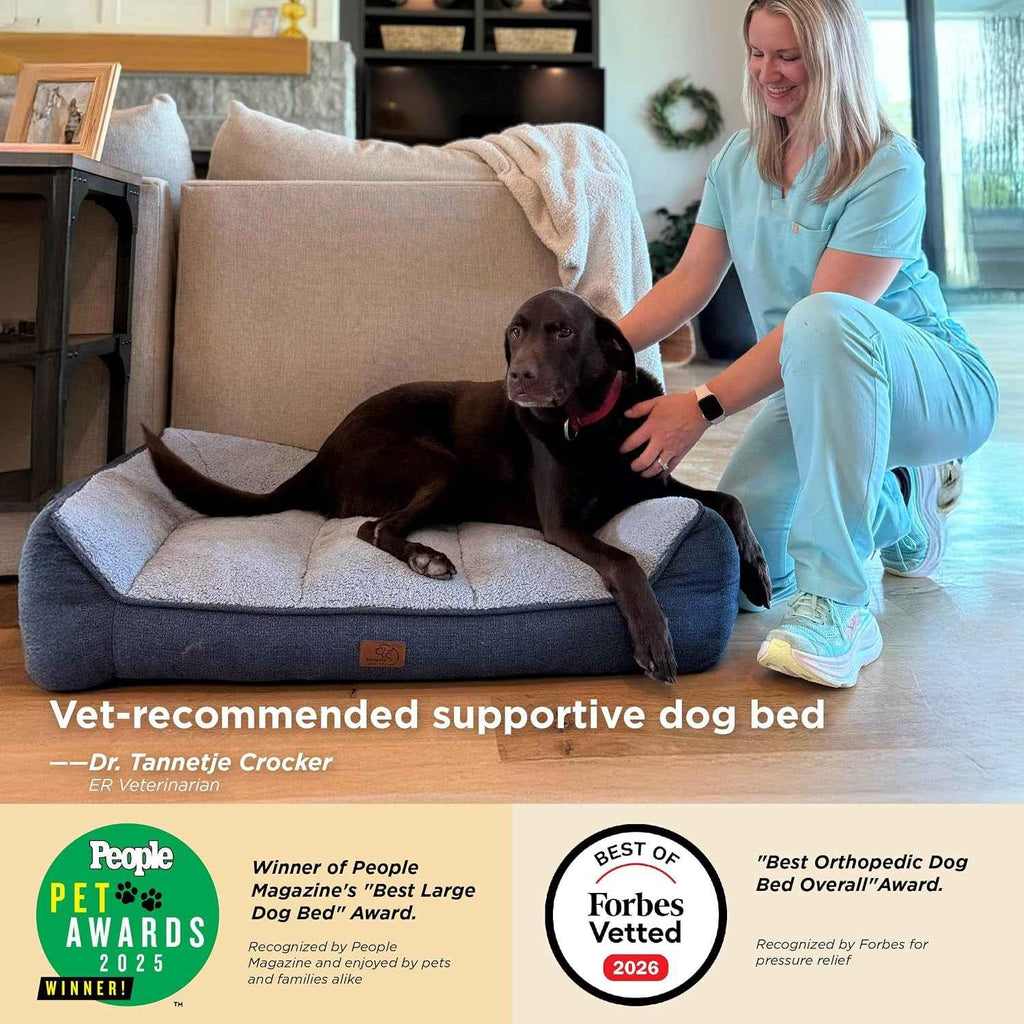 Orthopedic Dog Bed