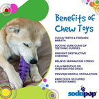 Fish Bone Nylon Dog Toy