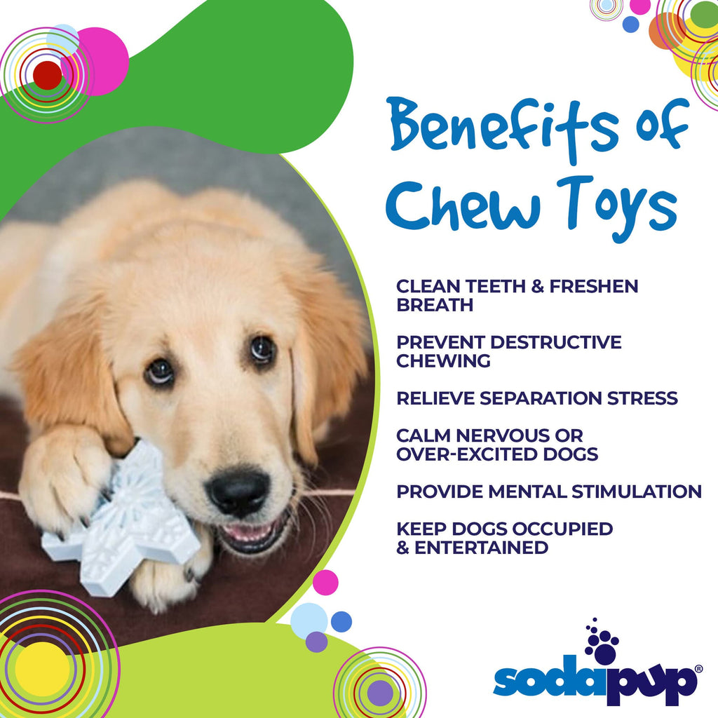 Snowflake Nylon Dog Chew Toy