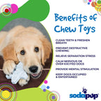 Snowflake Nylon Dog Chew Toy
