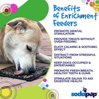 Enrichment Lick Mat for Dogs