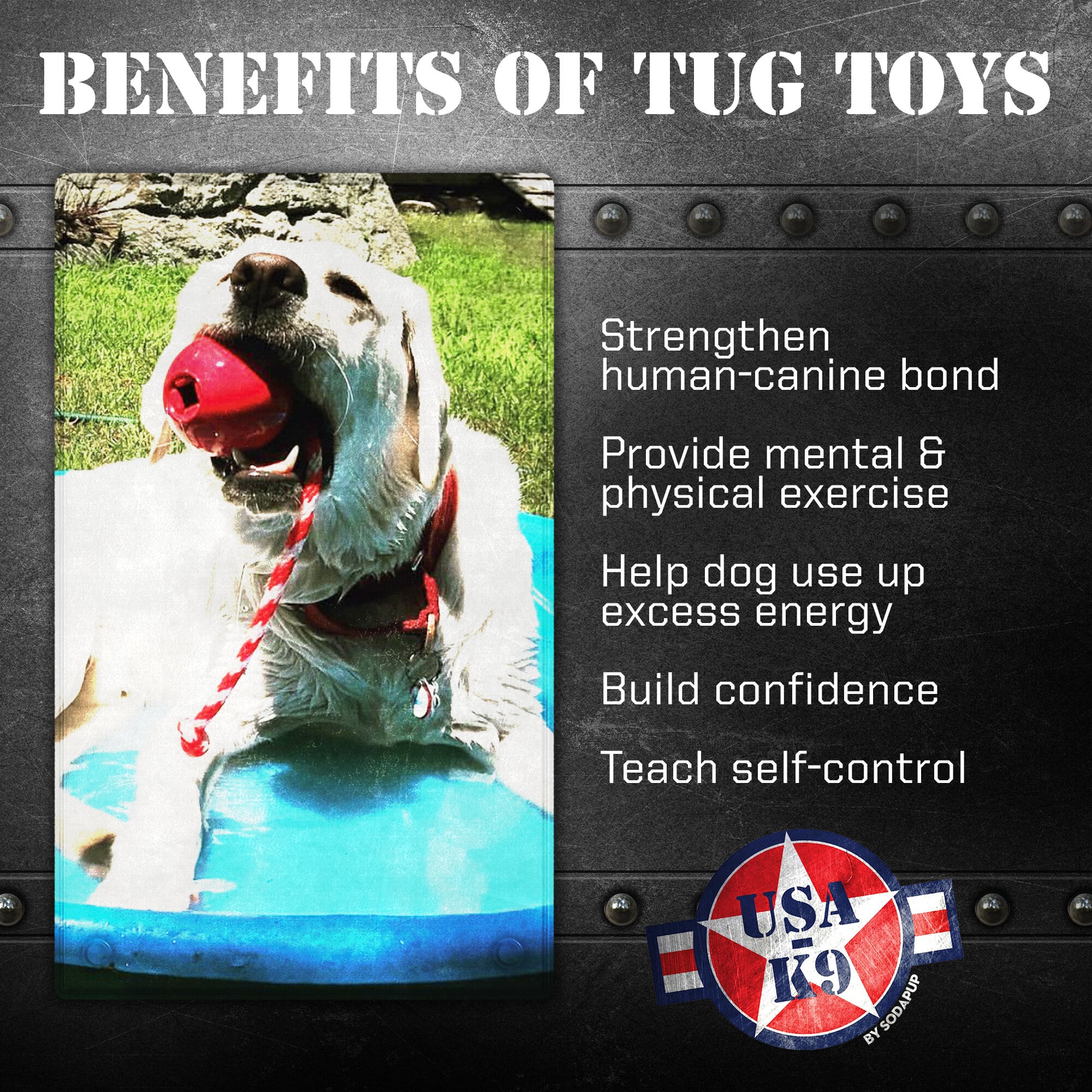 USA-K9 Cherry Bomb Rubber Dog Chew Toy