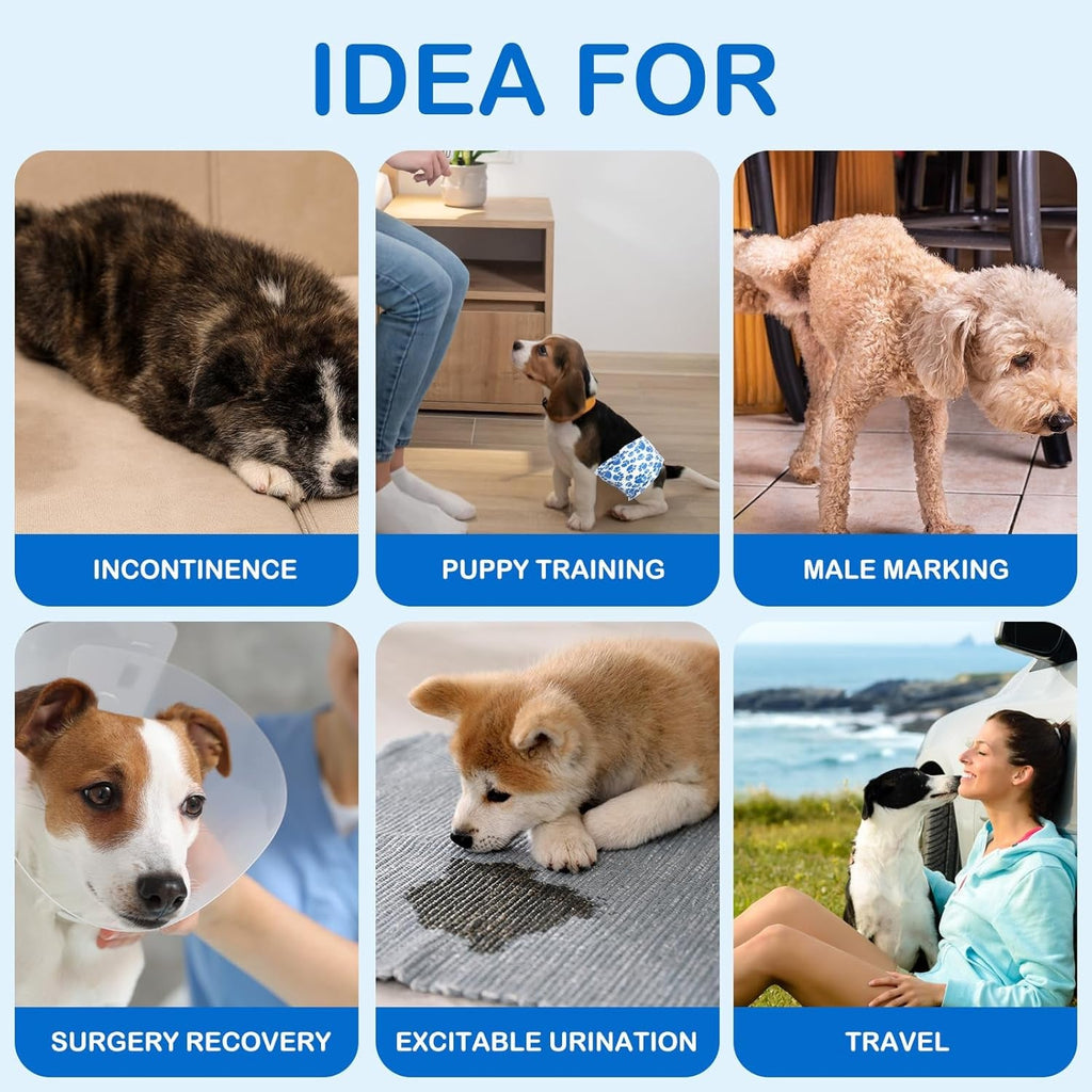 Male Dog Diapers Disposable