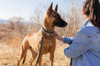 Modern Style Leather Dog Leash