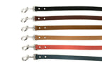 Modern Style Leather Dog Leash