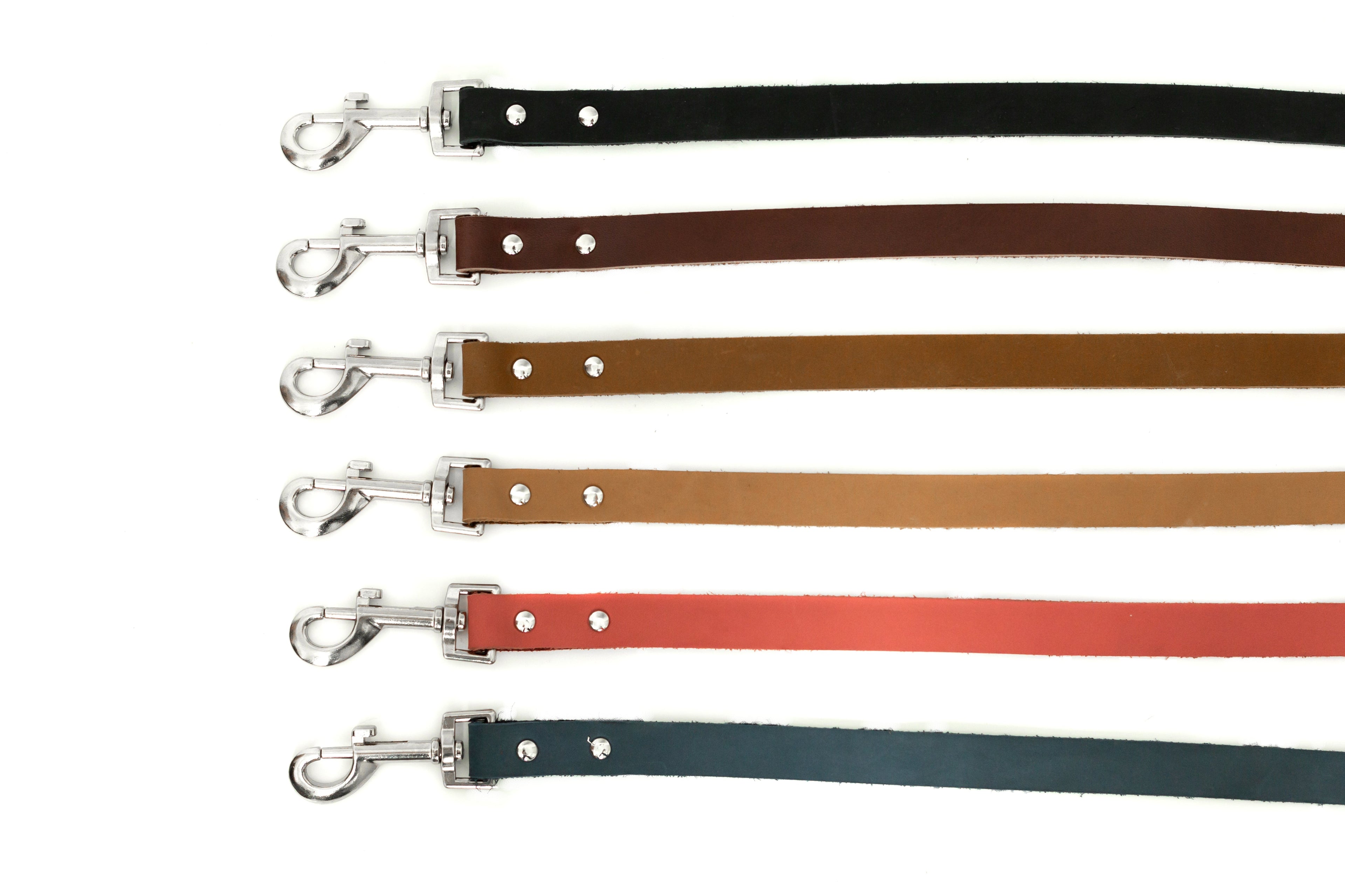 Modern Style Leather Dog Leash