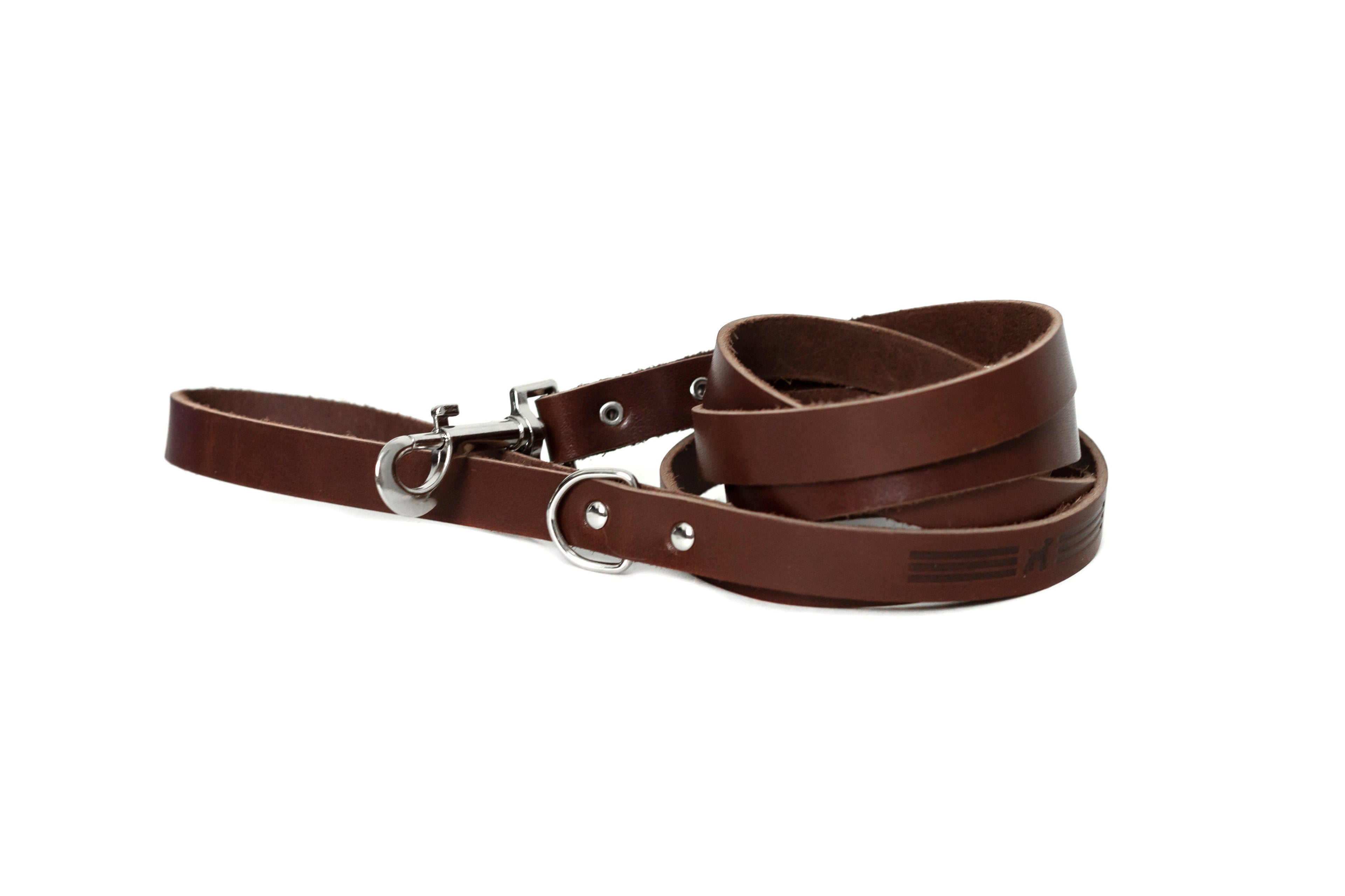Modern Style Leather Dog Leash