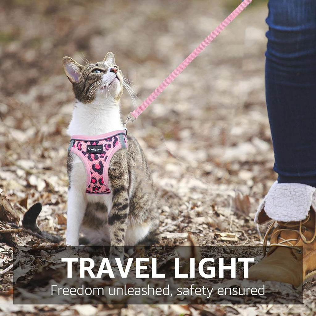 Cat Harness and Leash Set