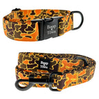 Dog Collar & Leash Sets