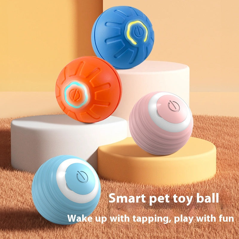 Electronic Interactive Pet Toy