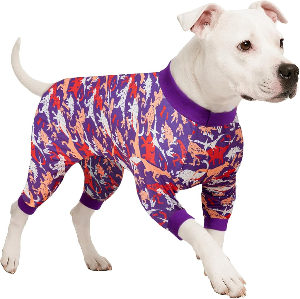 Dog Pajamas & Bodysuit