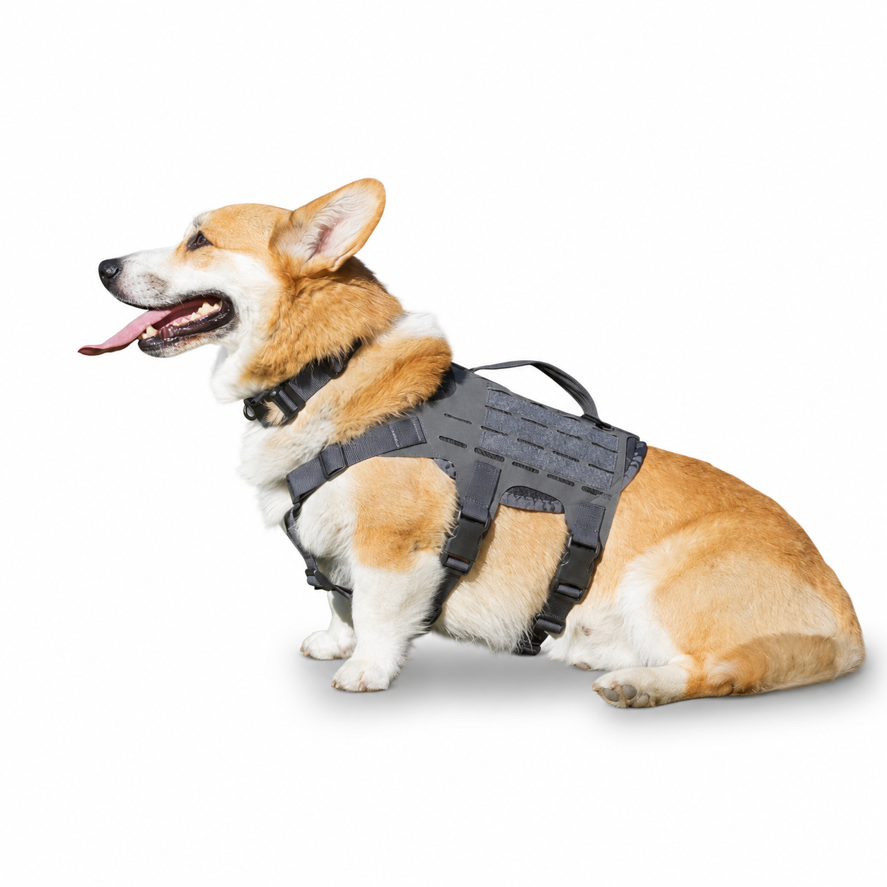 K9R - M4 Tactical MOLLE Vest