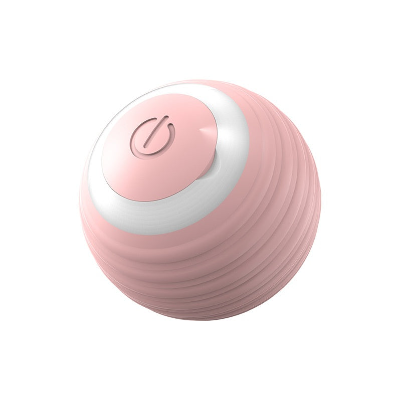 Electronic Interactive Pet Toy