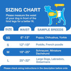Male Dog Diapers Disposable
