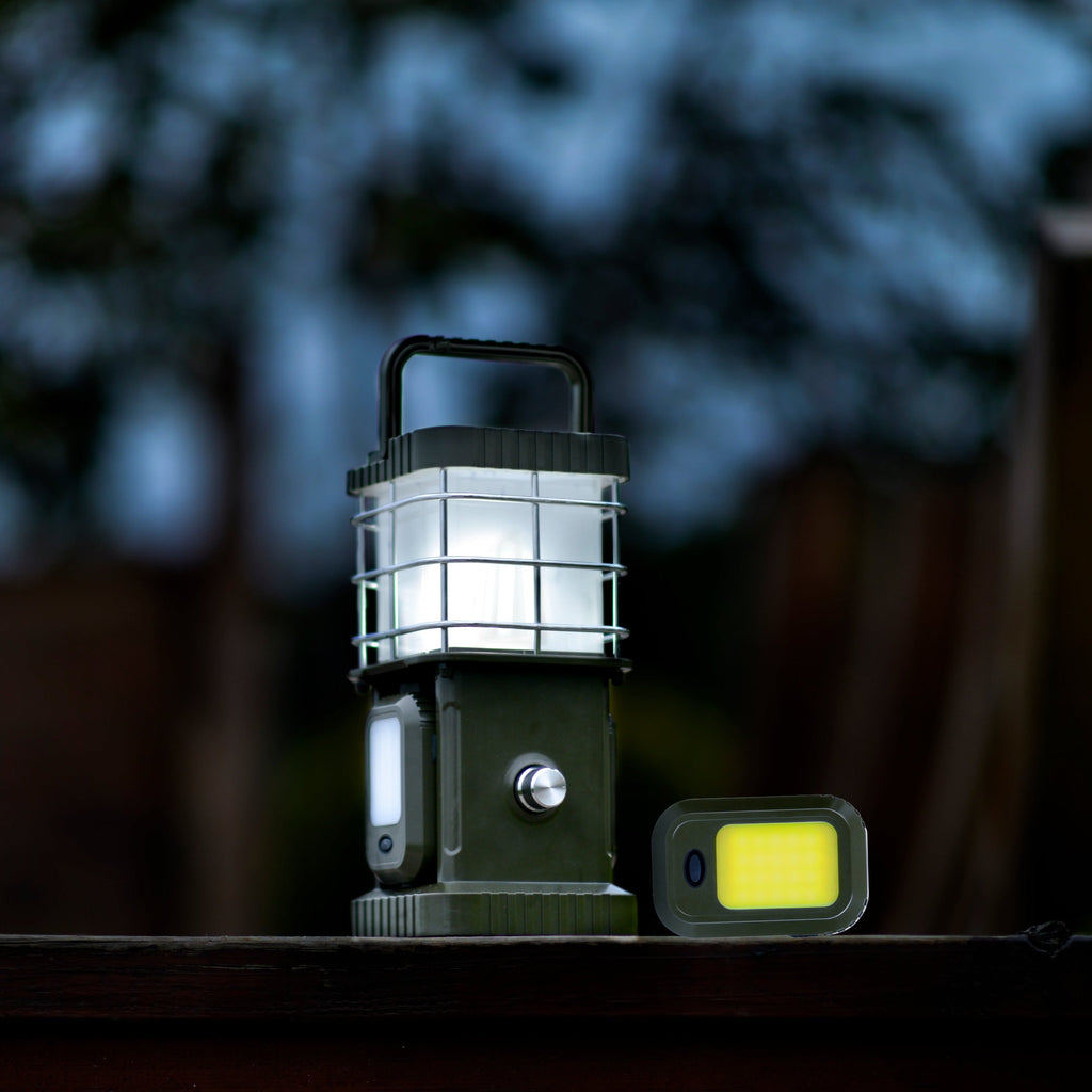 TRU De-LIGHT BUDDY Dimmable Lamp / Power Bank