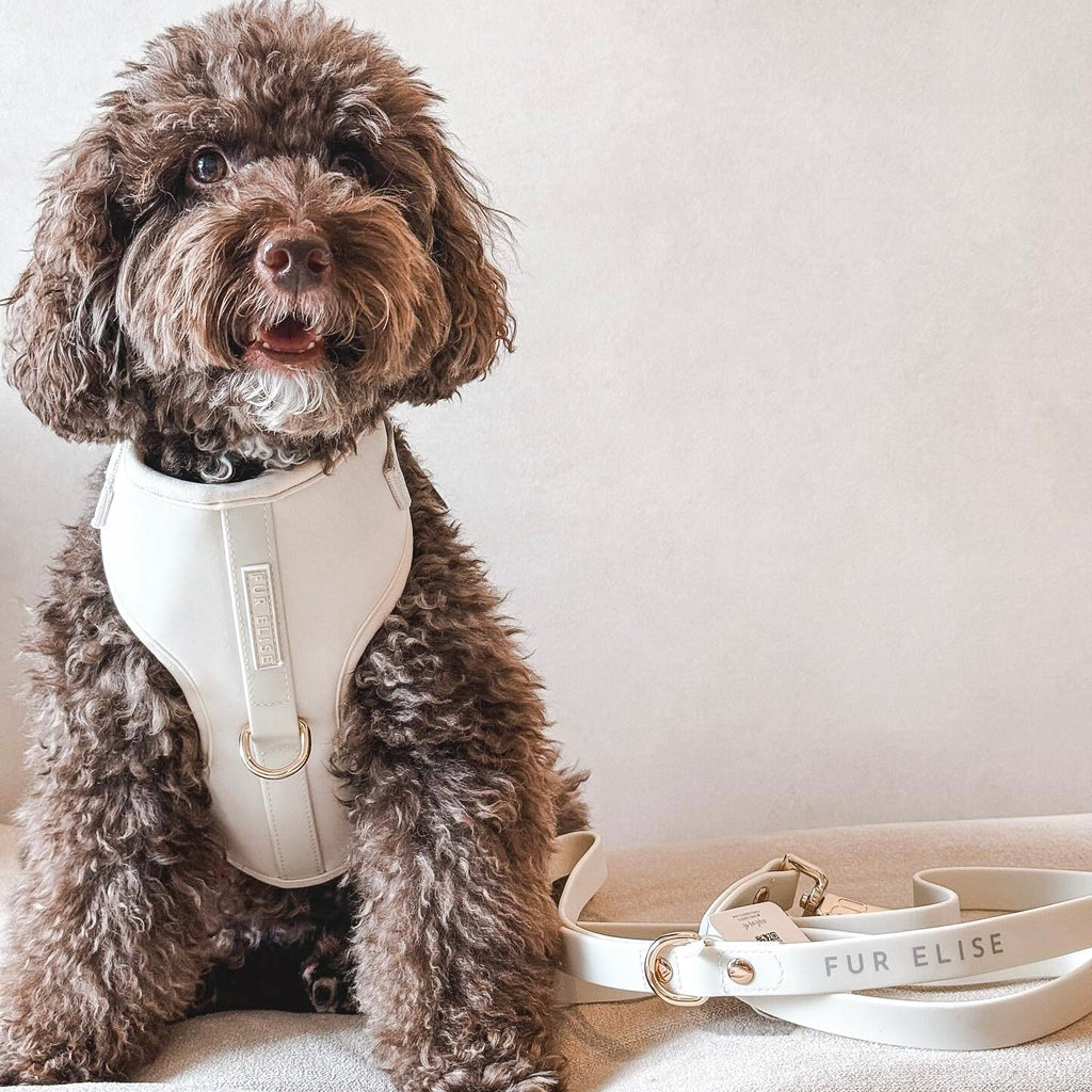 Fur Elise The Essentials Walk Set - Bone