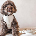 Fur Elise The Essentials Walk Set - Bone