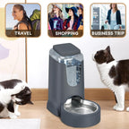 Automatic Cat Feeder & Water Dispenser Set
