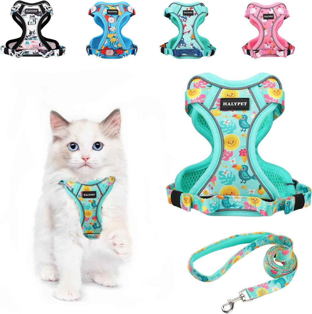 Escape-Proof Cat Harness & Leash Set