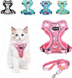 Escape-Proof Cat Harness & Leash Set