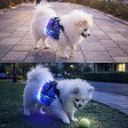 LED Dog Harness Light Up Fiber Optic Remote Control
