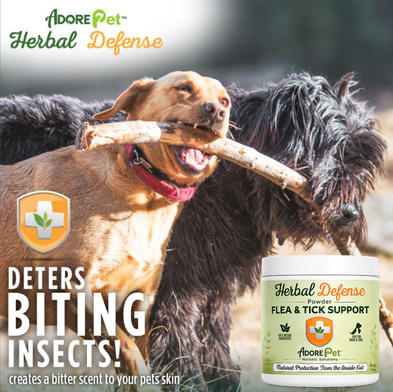 Herbal Defense Powder