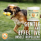 Herbal Defense Powder