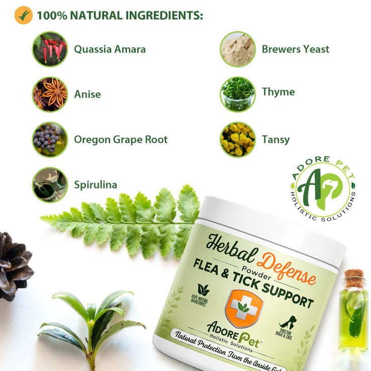 Herbal Defense Powder