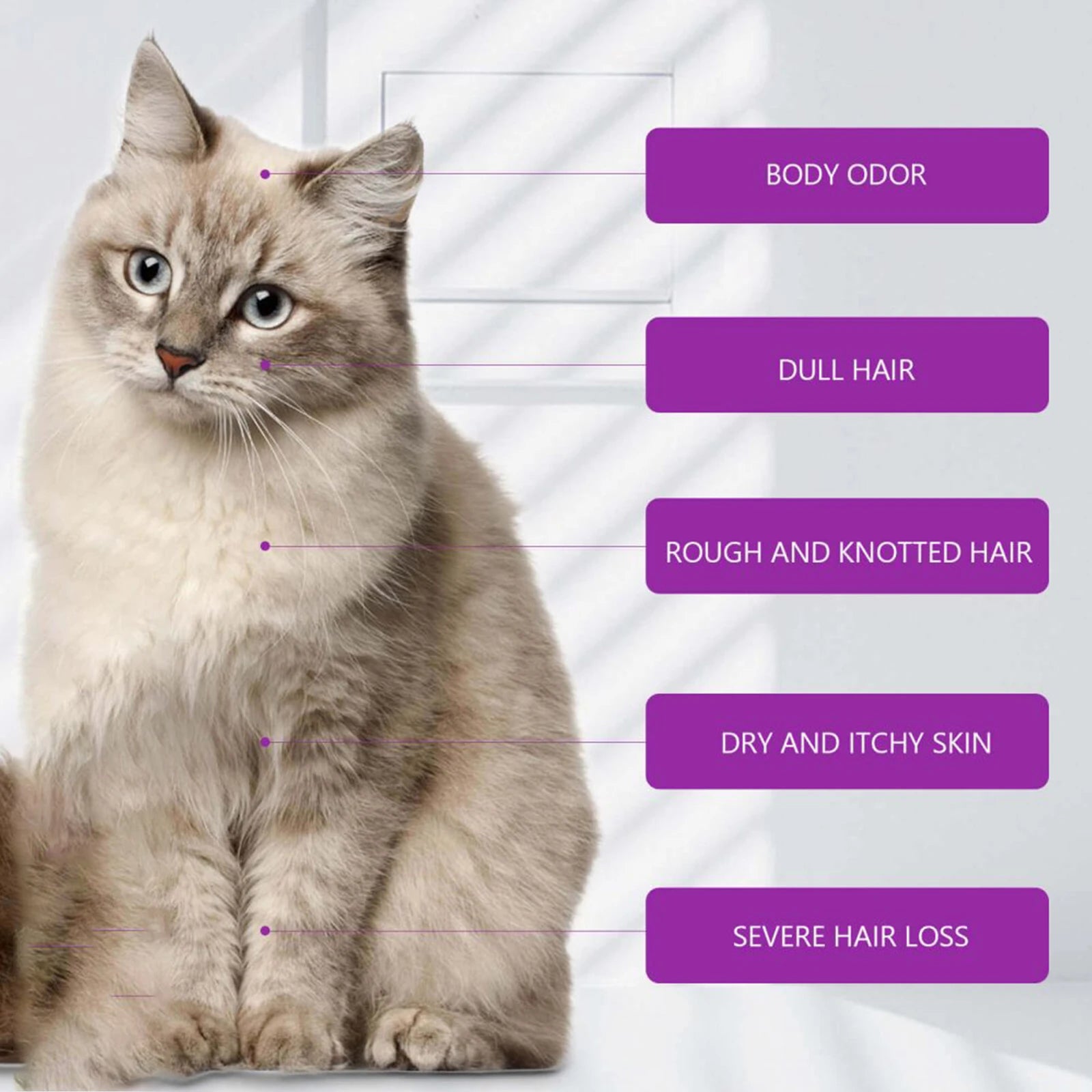 Pet Bathing Shampoo With Essential Oil